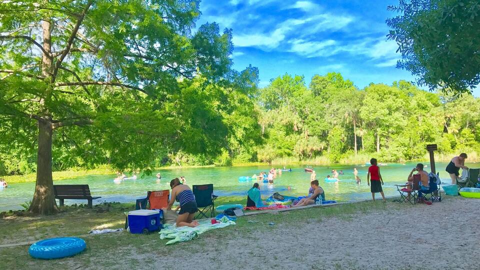 A sunny day at a lakeside park with people swimming and relaxing on the shore.