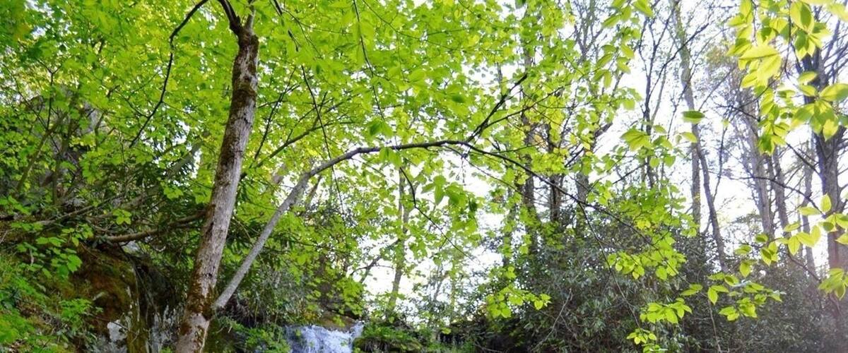 Gorgeous 90 feet waterfall on my backpacking/ hiking/ camping trip to the Great Smoky Mountains National Park. #waterfall #springhiking #nationalparks #outdoor