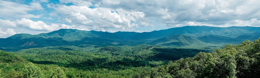 Great Smoky Mountains Panorama (Daytime)