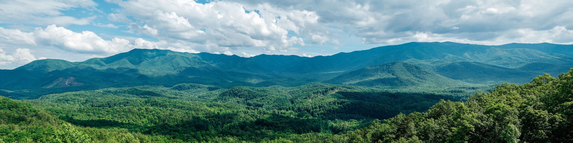 A mountainous landscape with dense forests and a clear sky.