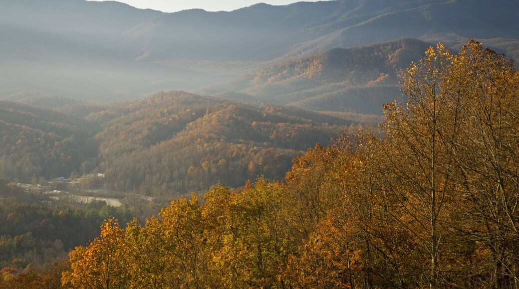 Autumn, Foothills Parkway, Cosby Tennessee, Shutterstock ID 69619573, Purchase Order: -