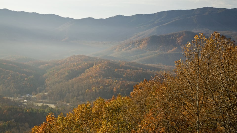 Autumn, Foothills Parkway, Cosby Tennessee, Shutterstock ID 69619573, Purchase Order: -