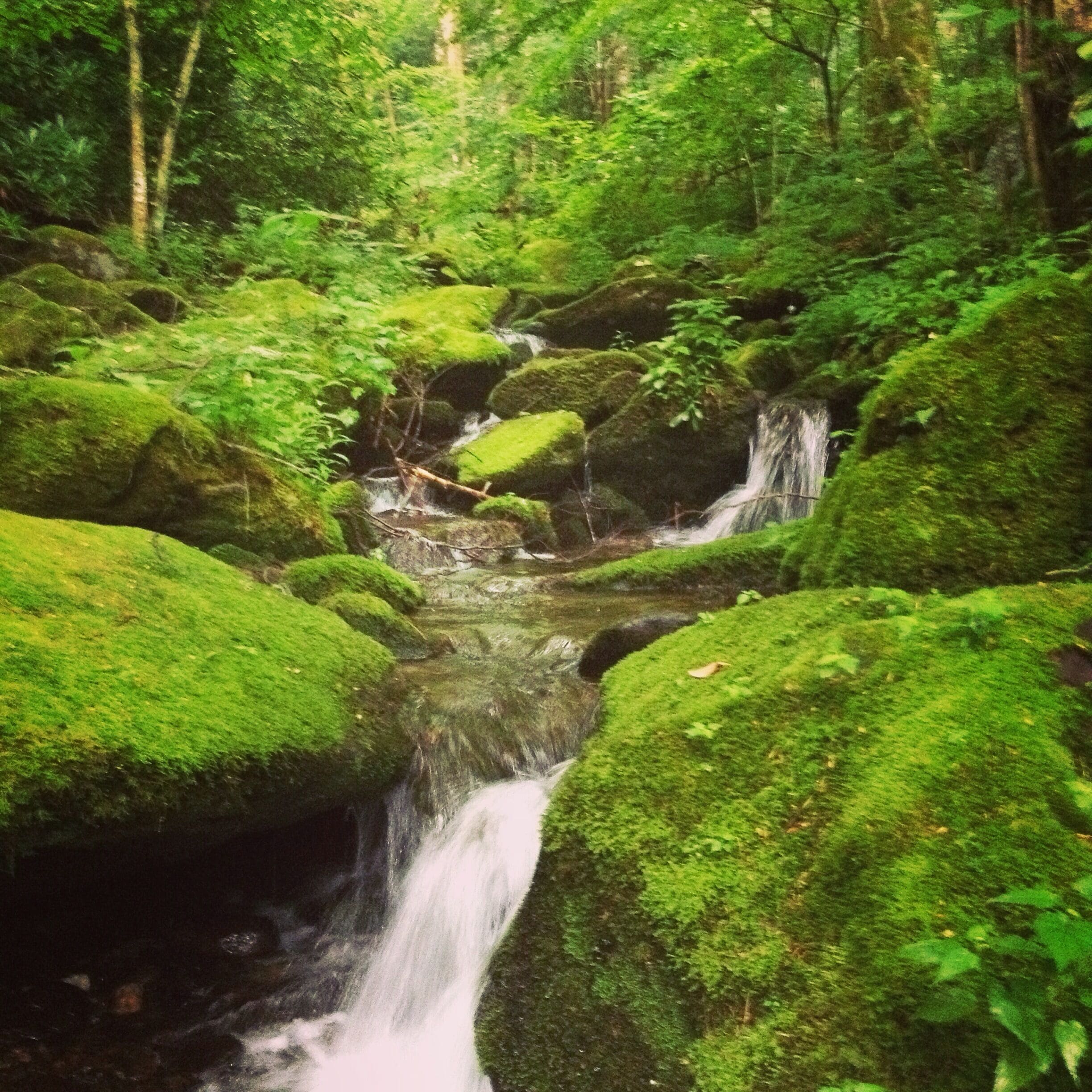 A nice stream runs right by campsite 34