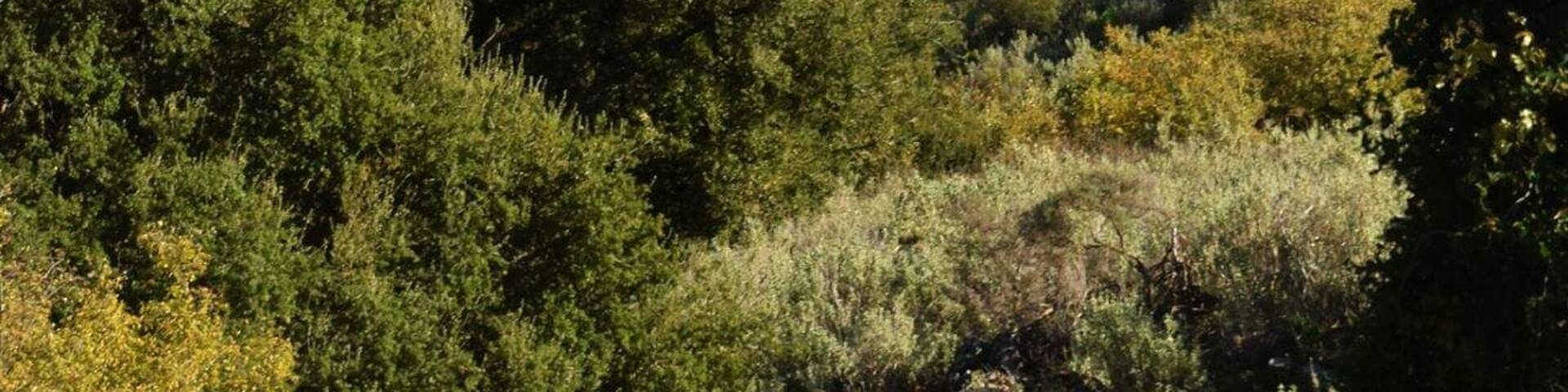 #AboveItAll
While walking the lower Daphnemadara (the Mountains of Daphne) this vista of Kournas Lake, Crete, Greece, opened up below is.