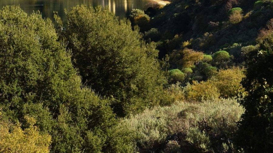 #AboveItAll
While walking the lower Daphnemadara