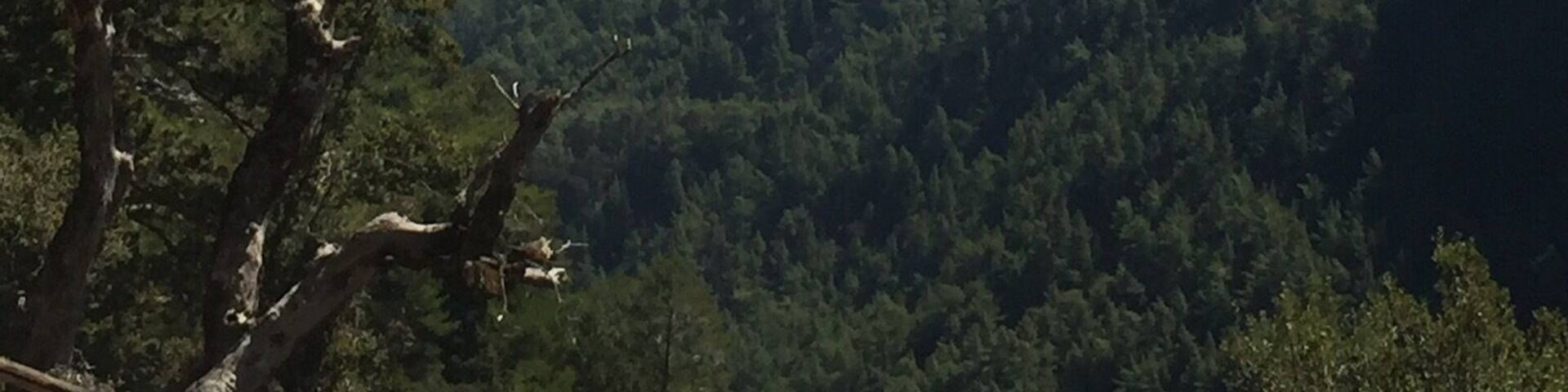 Stunning view from top to bottom , 6miles walk down to the Gorge