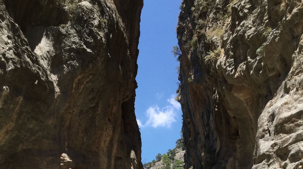 At only 3 metres wide, the 'iron gates' are the narrowest part of the Samaria gorge.
#hiking #nature #nationalpark