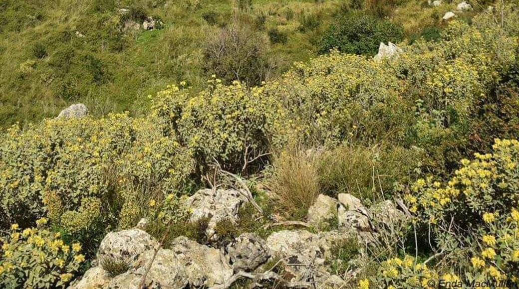 The only natural fresh water lake on Crete, this lake is a nature reserve and a fabulous place to observe and photograph many kinds of water birds.