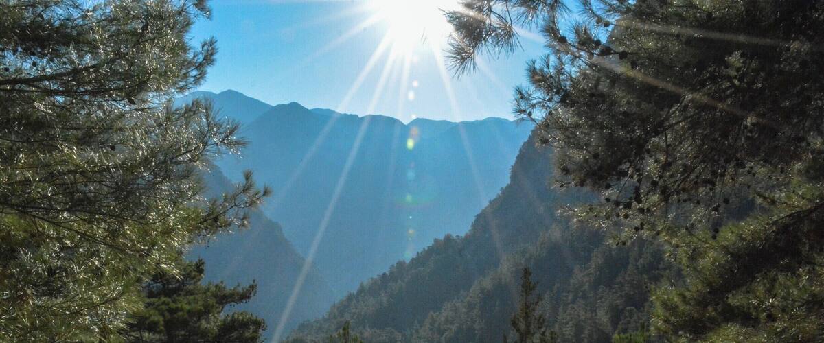 A mountainous landscape with pine trees and sunlight streaming through.