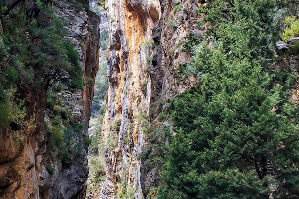 Eine Schlucht mit steilen Felswänden und einem Fluss am Grund.