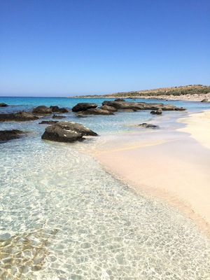 The completely secluded Kedrodasos Beach, Crete. Crystal clear water, white sand, fig trees and absolutely no people the entire day. Perfect. Far quieter and untouched than Elafonissi beach a few miles away.