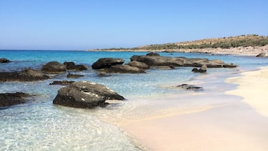 The completely secluded Kedrodasos Beach, Crete. Crystal clear water, white sand, fig trees and absolutely no people the entire day. Perfect. Far quieter and untouched than Elafonissi beach a few miles away.