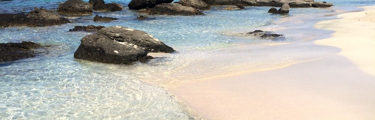 The completely secluded Kedrodasos Beach, Crete. Crystal clear water, white sand, fig trees and absolutely no people the entire day. Perfect. Far quieter and untouched than Elafonissi beach a few miles away.