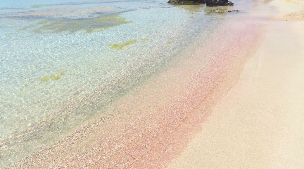 The incredible pink sand at Elafonisi Beach.