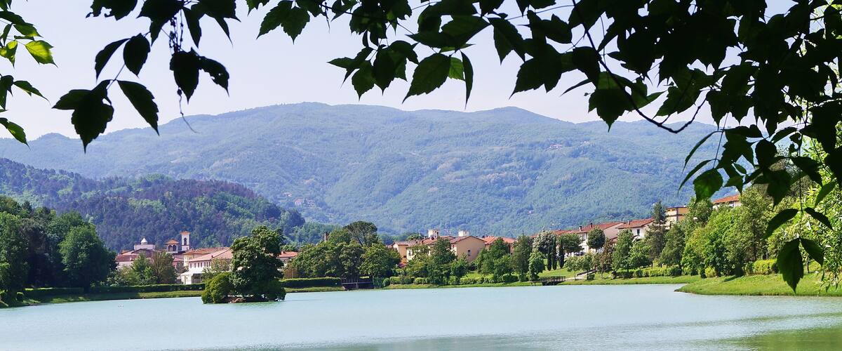 A lake surrounded by lush greenery and mountains in the background.
