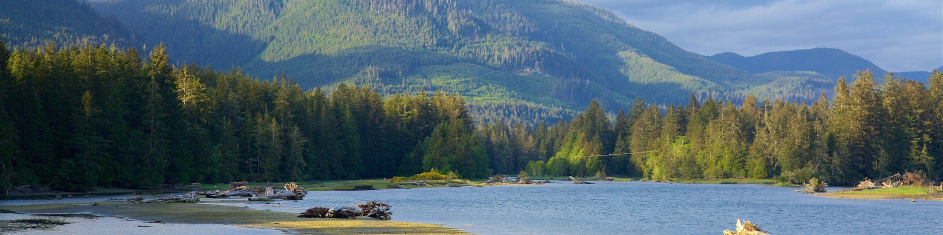 Port Renfrew featuring tranquil scenes, mountains and a lake or waterhole