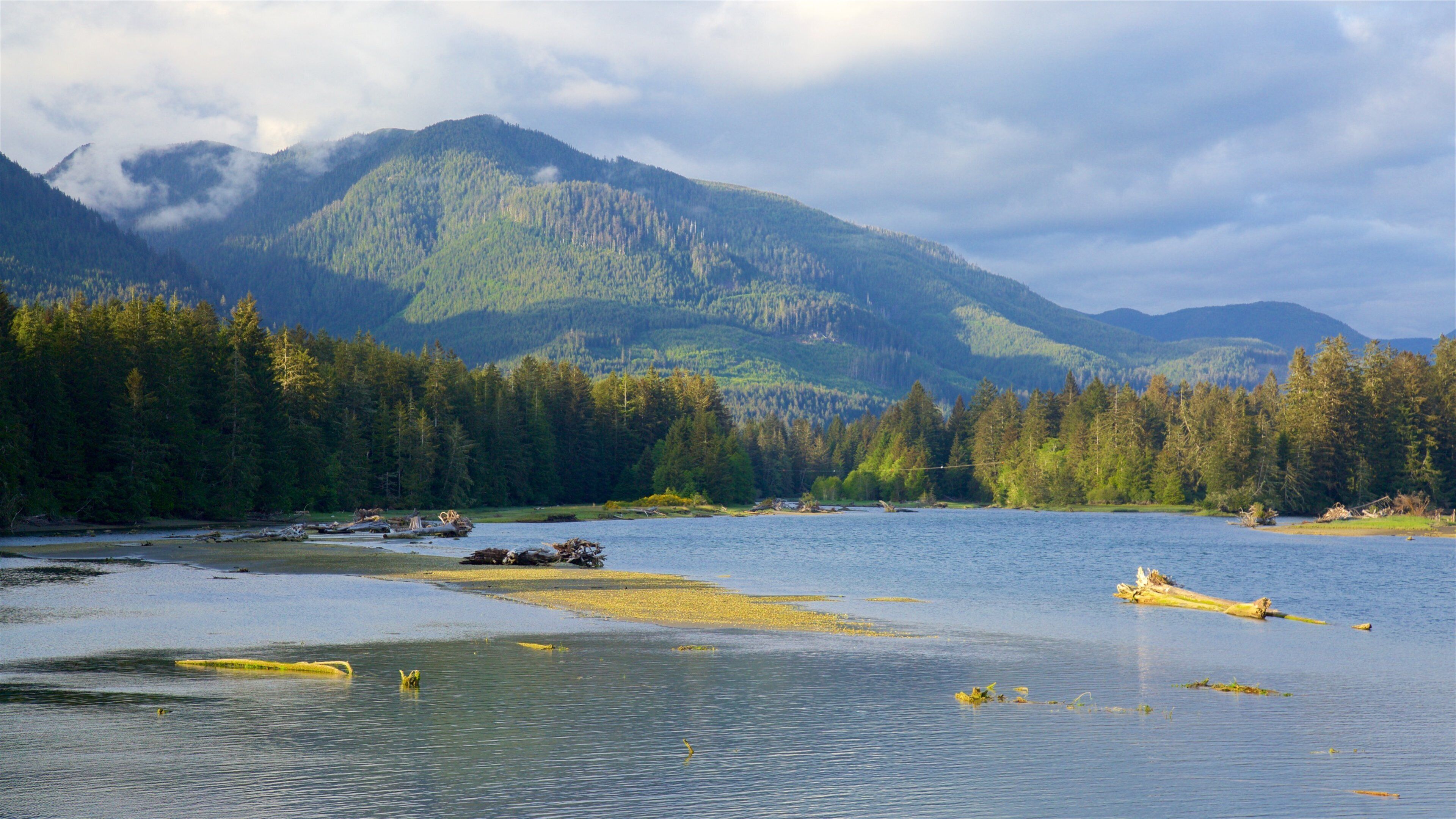 A calm river with a forested mountain range in the background.