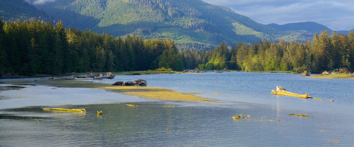 A calm river with a forested mountain range in the background.