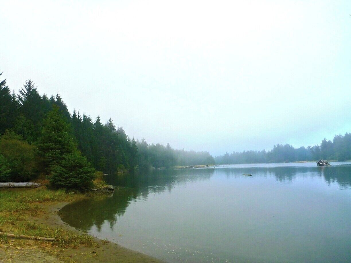 Around 5pm the fog rolls into Port Renfrew. Pacheedaht Campground is in the "fog zone" so we were able to have campfires while the rest of the province couldn't.