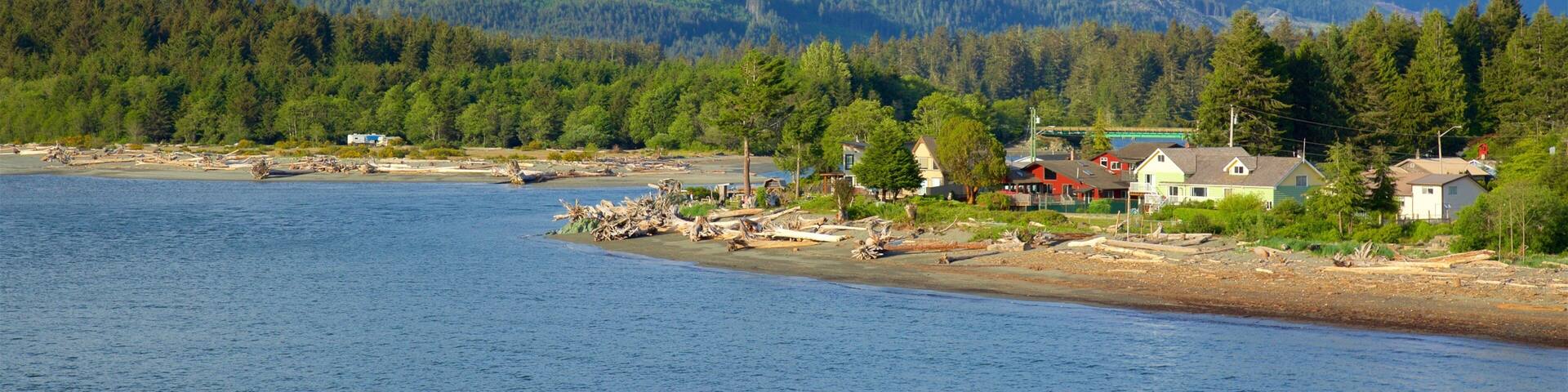 Port Renfrew som inkluderar en sjö eller ett vattenhÄl, stillsam natur och berg
