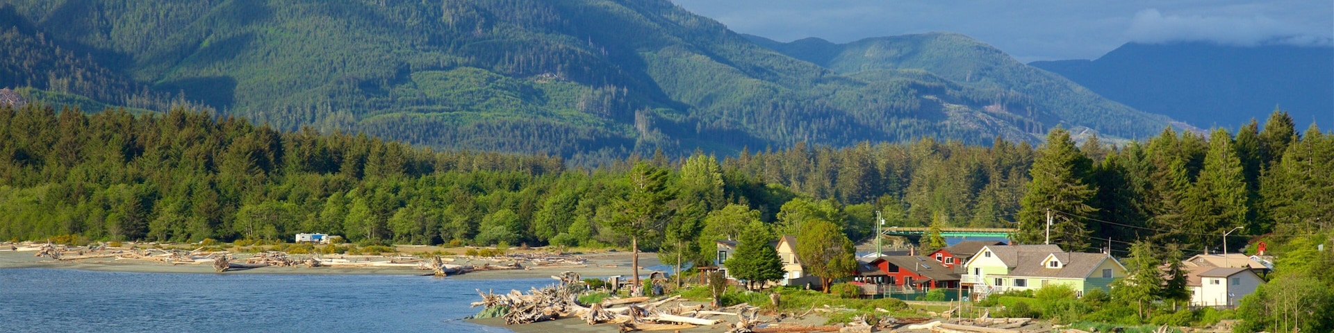 Port Renfrew featuring mountains, tranquil scenes and a lake or waterhole