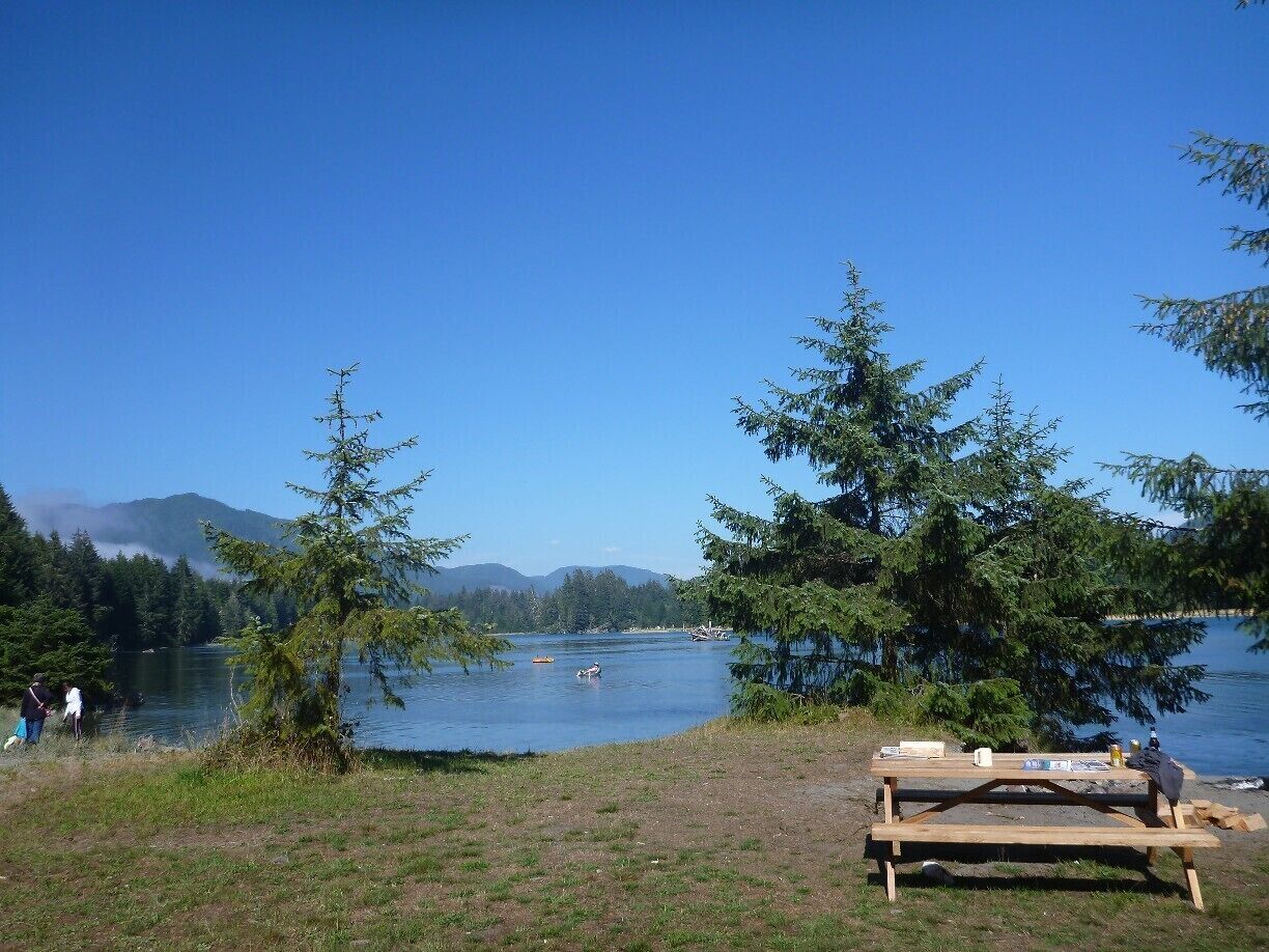 When you're at Pacheedaht Campground in Port Renfrew, try to get side #1,2, or 3 (if you're tent camping). They are right on the San Juan River and protected from the wind.