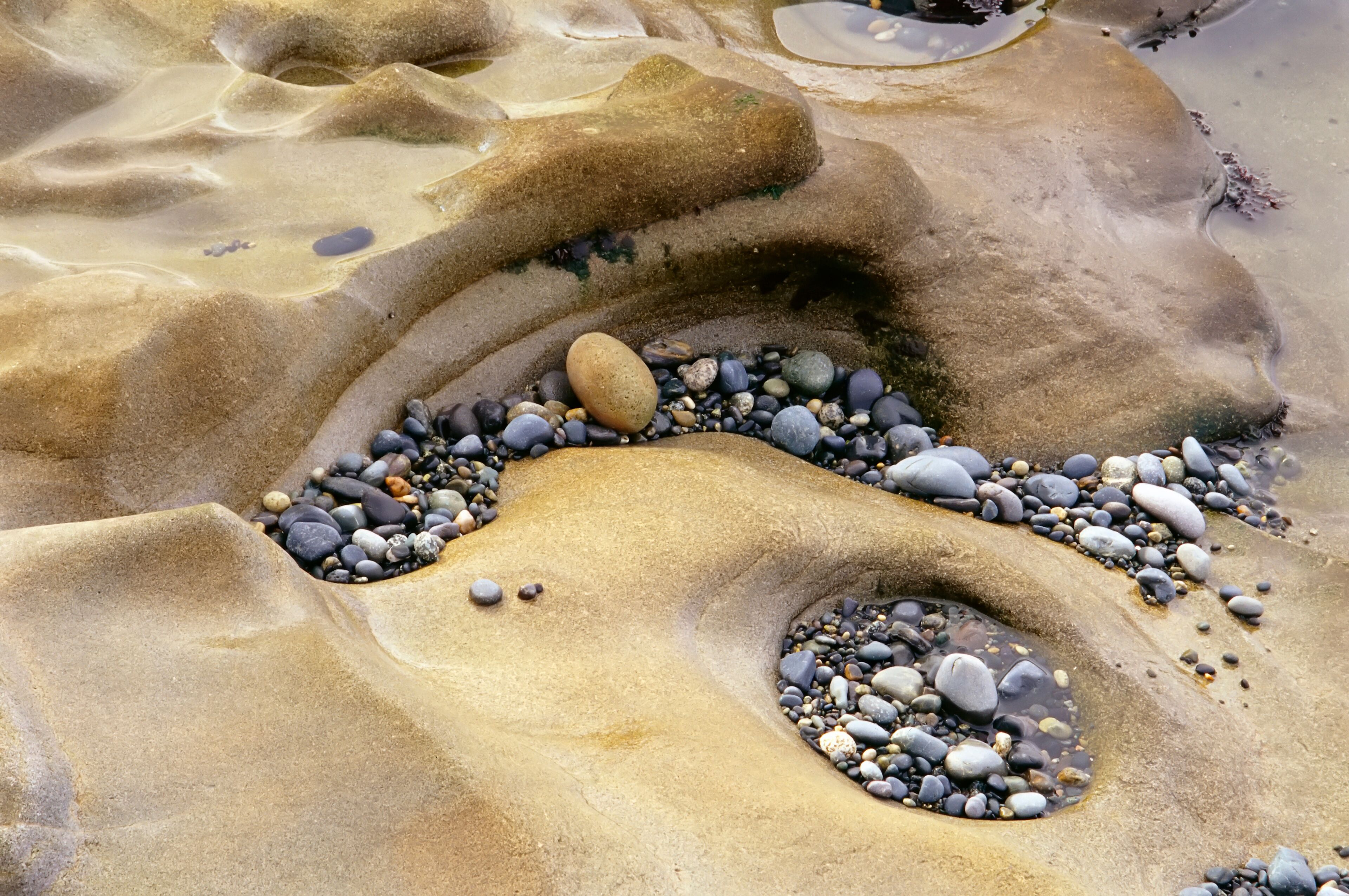 Primer plano de una playa arenosa con piedras y una pequeña charca.