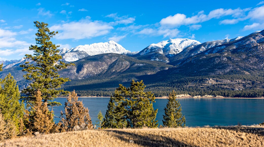 Columbia Lake which is the headwaters of the Columbia River in the East Kootenays near Invermere British Columbia Canada in the early winter