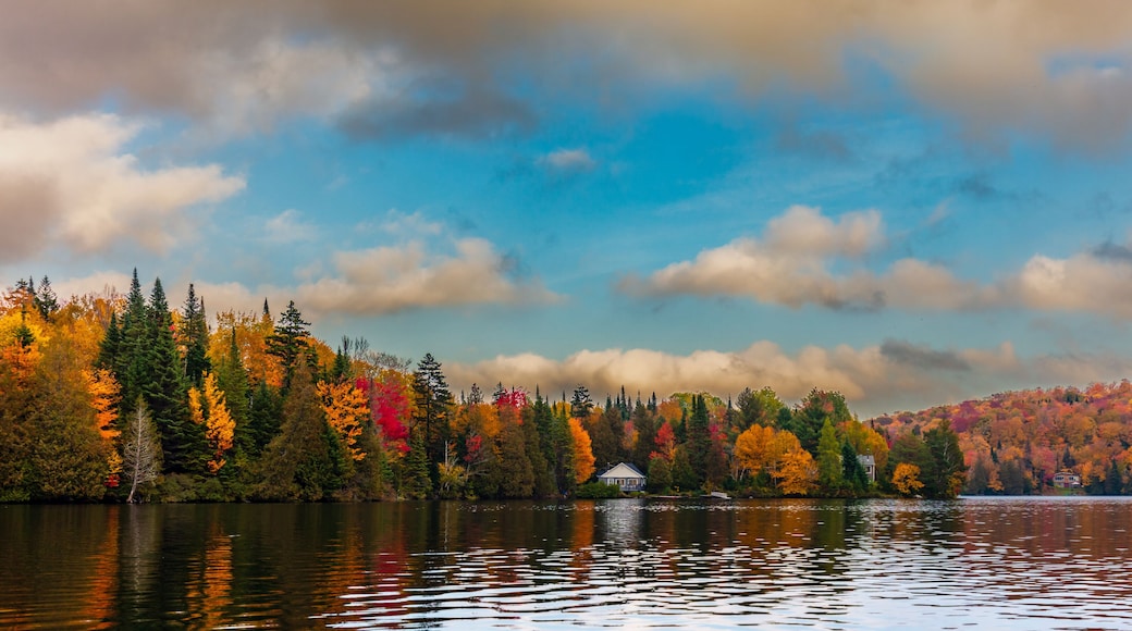 Fall colors in cottage country in the Laurentians, Quebec, Canada.