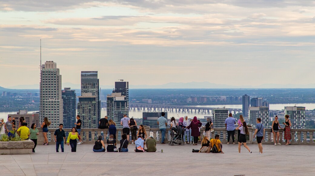 Mont-Royal showing a sunset, views and a city