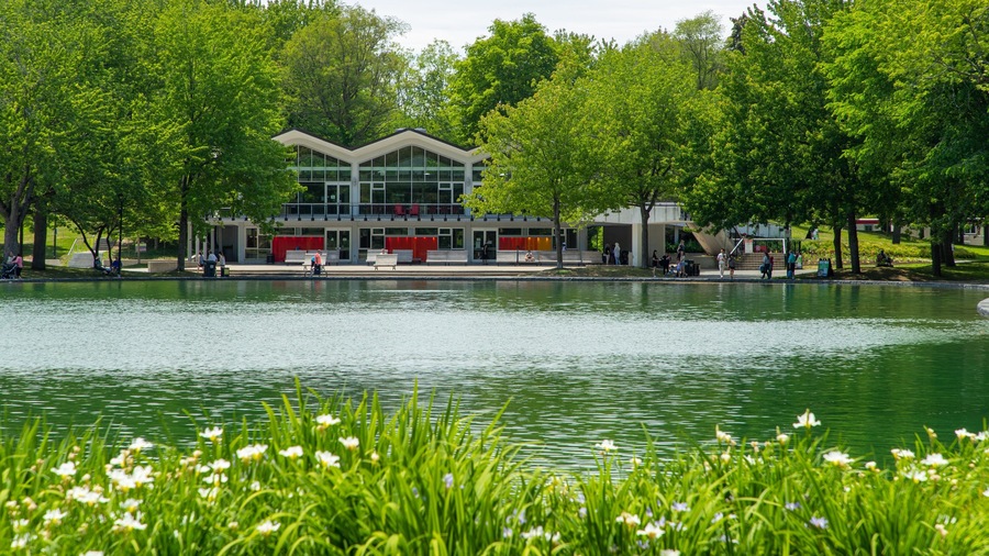Mont-Royal showing a pond