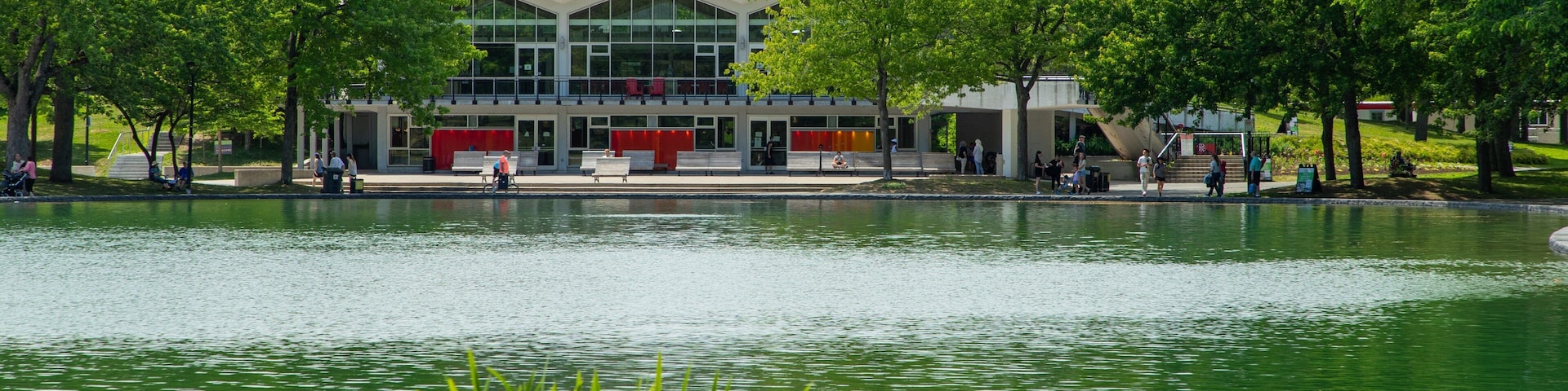 Mont-Royal showing a pond