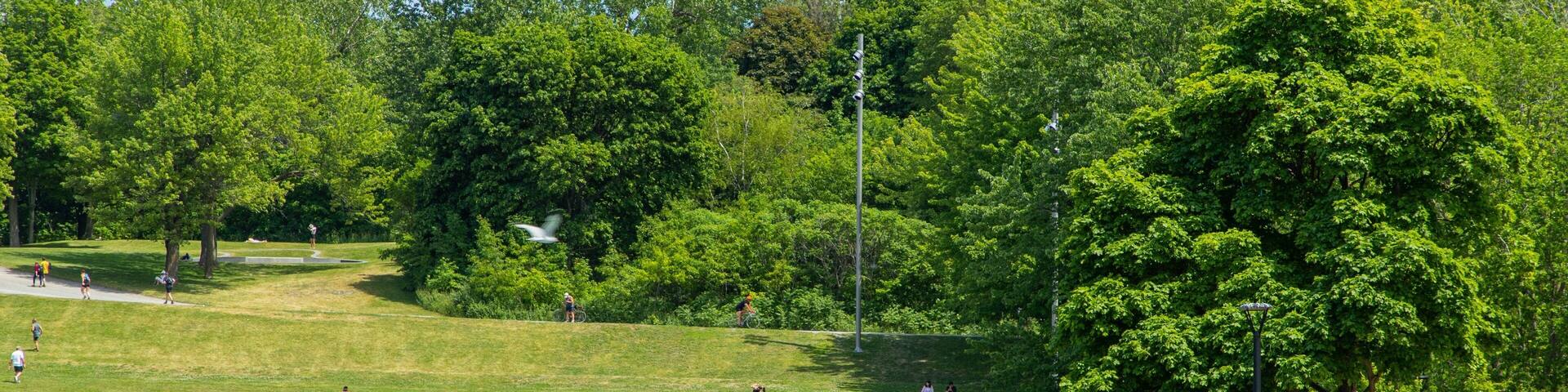 Mont-Royal featuring a pond and a garden