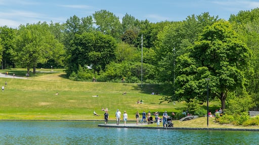 Mont-Royal featuring a pond and a garden