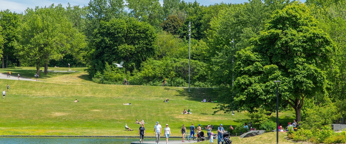 A park with a lake, grassy areas, trees, and people walking and sitting.