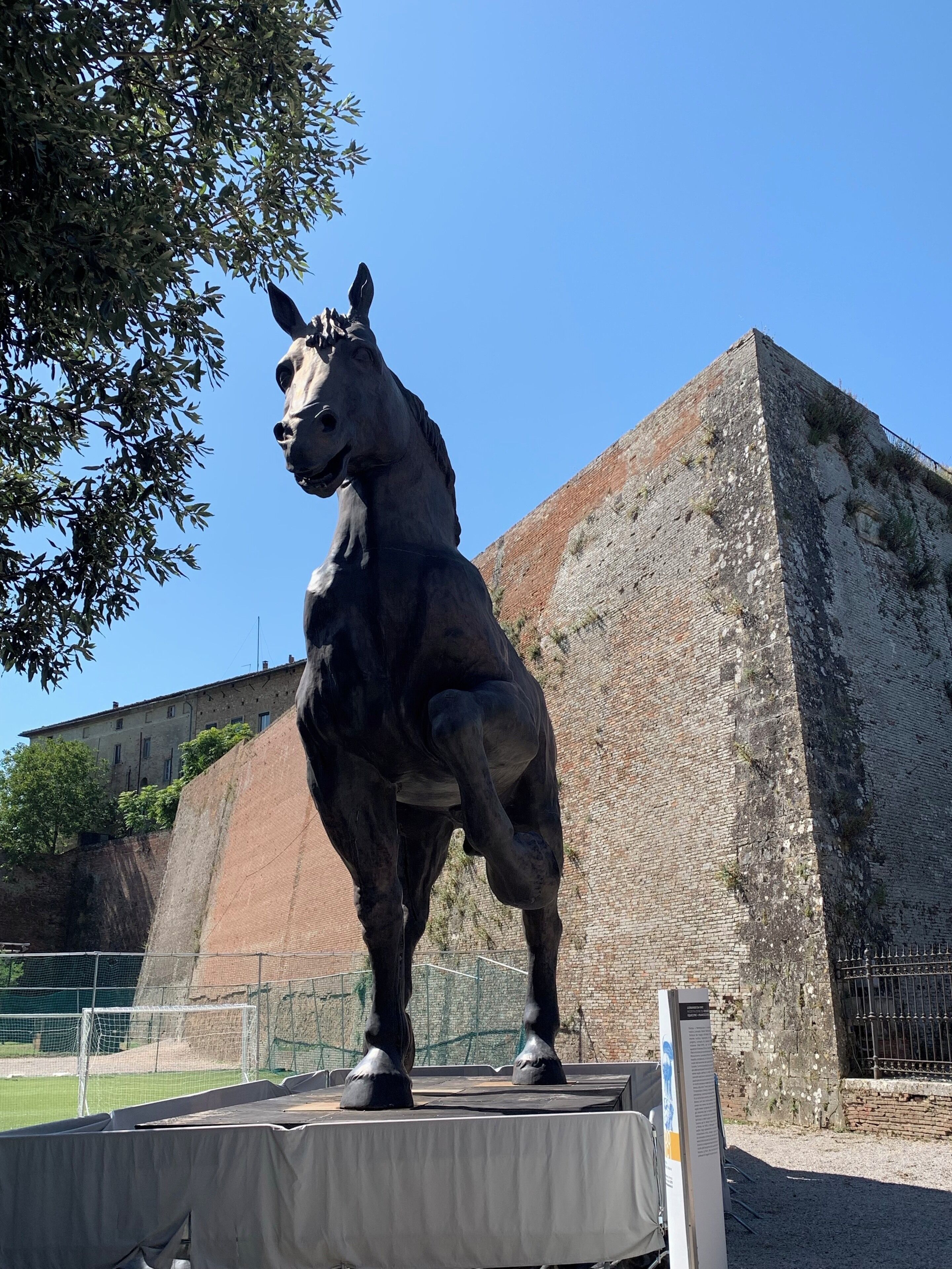 Leonardo da Vinci’s horse

Montepulciano - Italy 🇮🇹