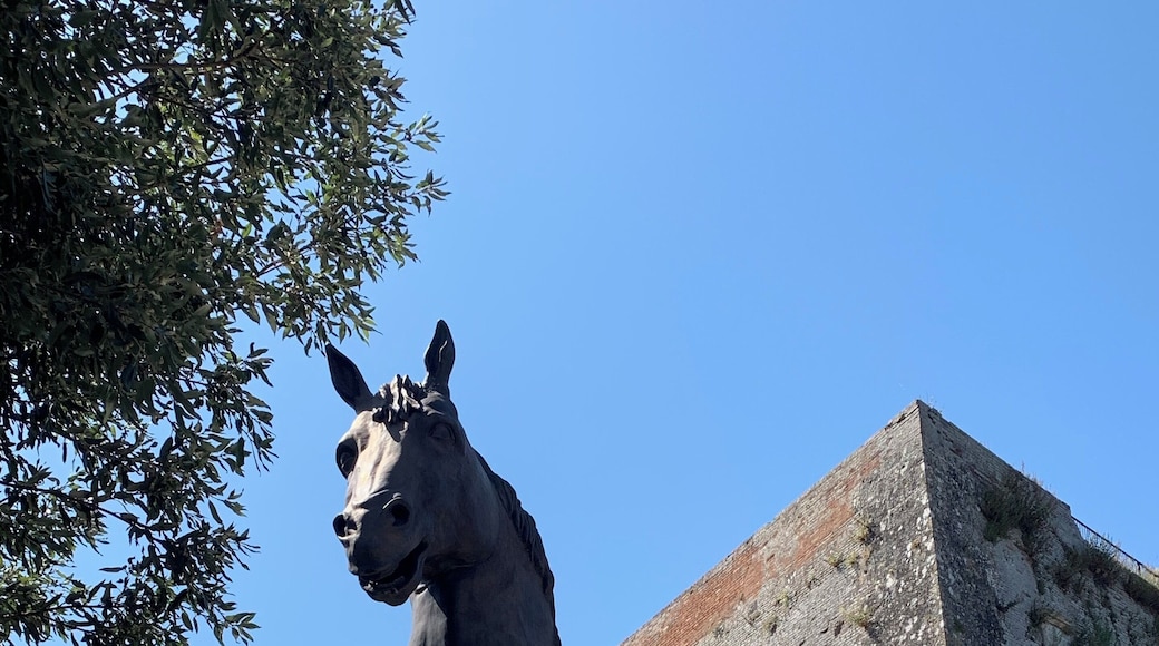 Leonardo da Vinci’s horse
Montepulciano - Italy 🇮🇹