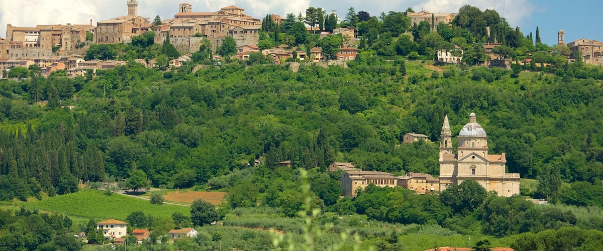 A hillside town with historic buildings and a prominent church.