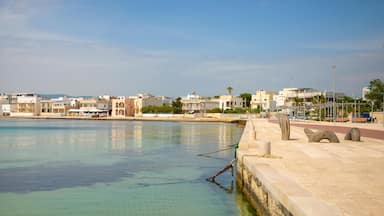 MTWP3M Port with cityview of Torre Canne, Fasano in south Italy