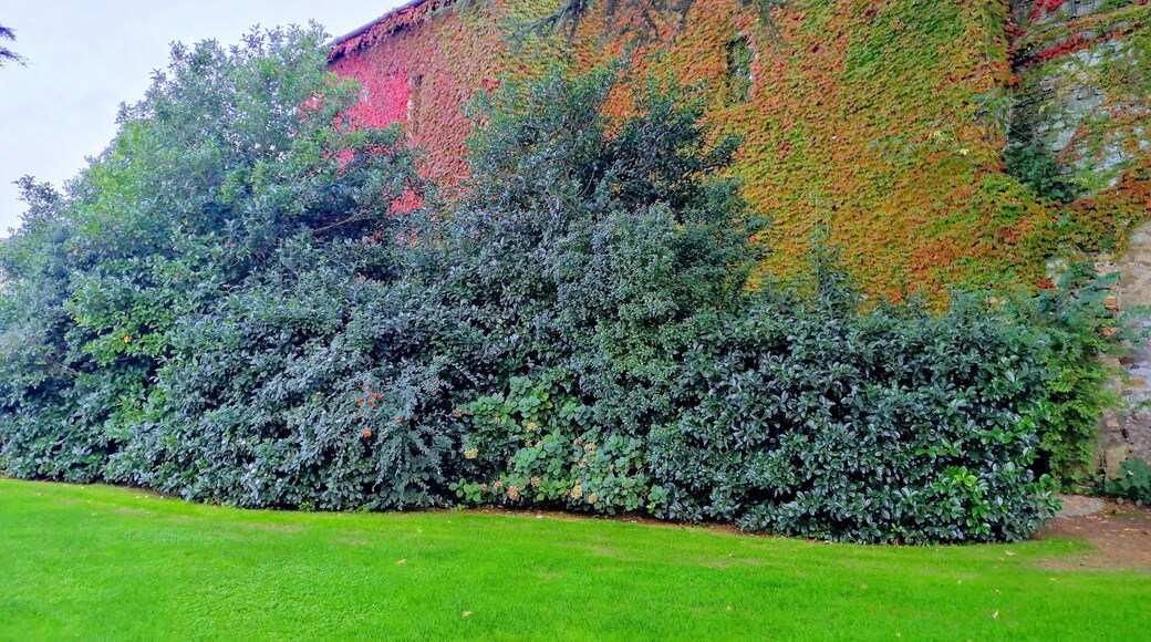 Wonderful colors at Bracciano. Enjoy a guided tour in the castle and the beautiful garden
#LifeAtExpediaGroup