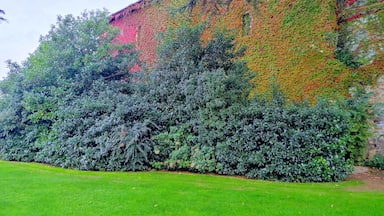 Wonderful colors at Bracciano. Enjoy a guided tour in the castle and the beautiful garden
#LifeAtExpediaGroup