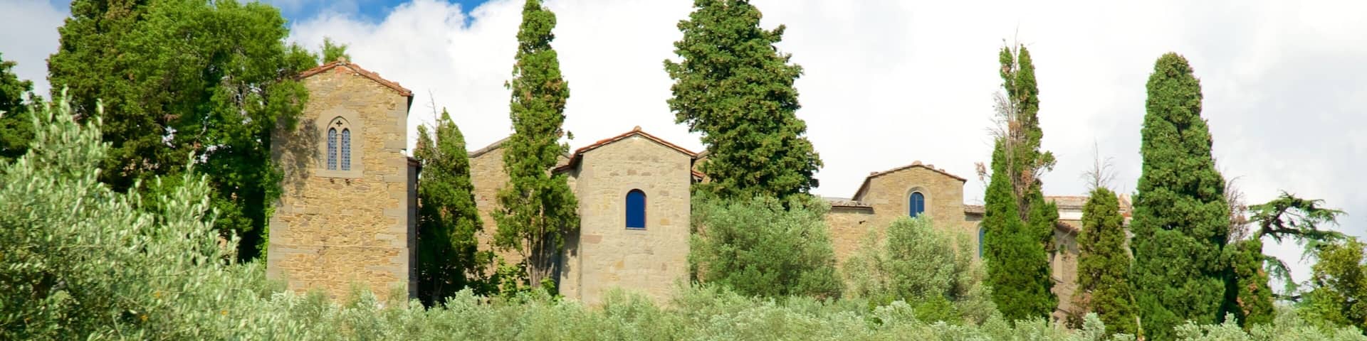 Cortona featuring farmland