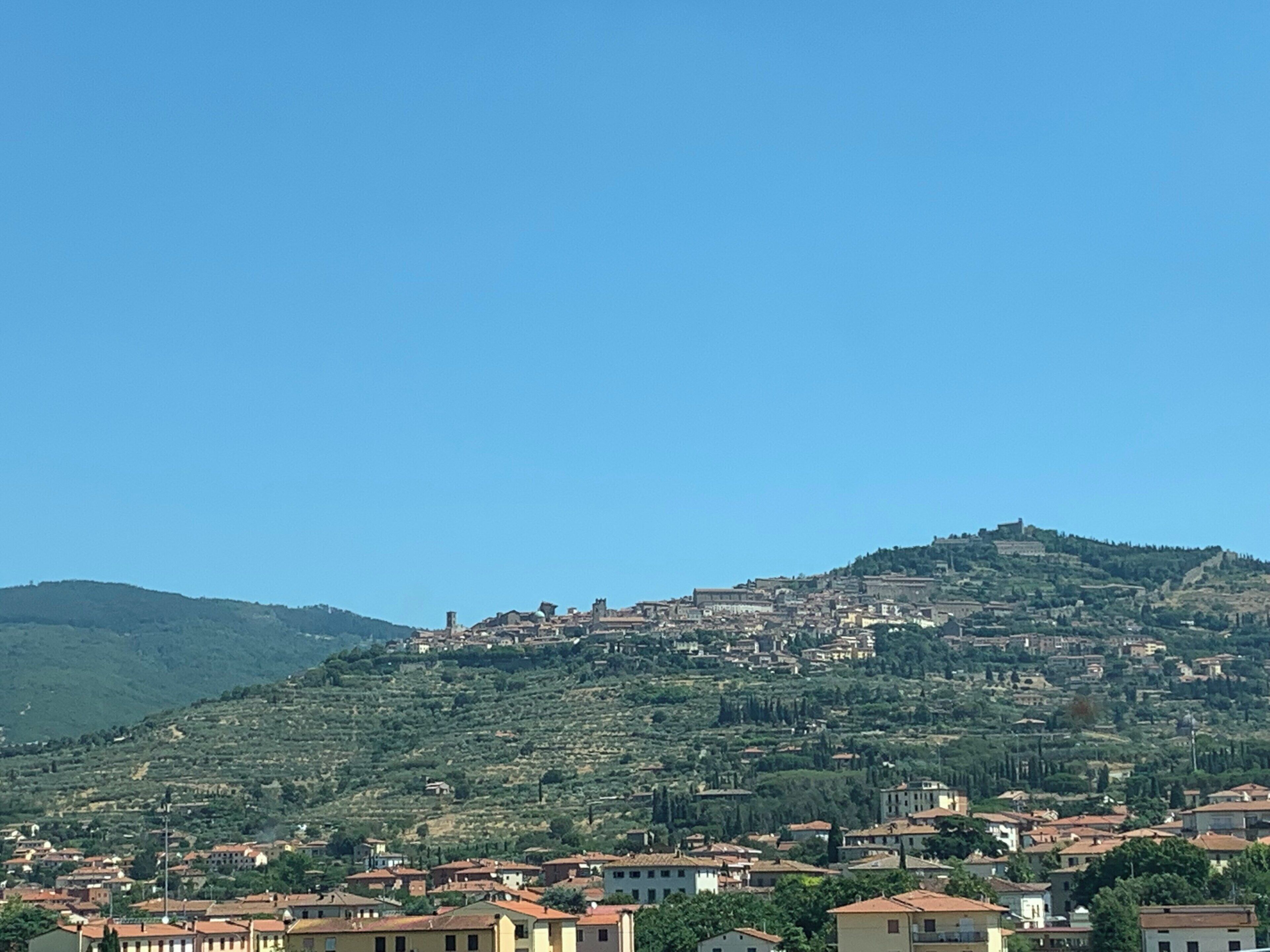 A hillside town with buildings and greenery.