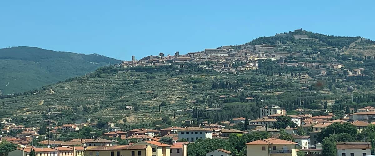 A hillside town with buildings and greenery.
