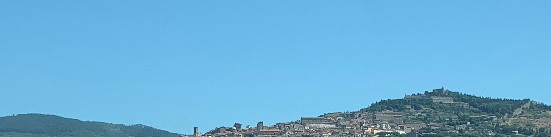 A hillside town with buildings and greenery.