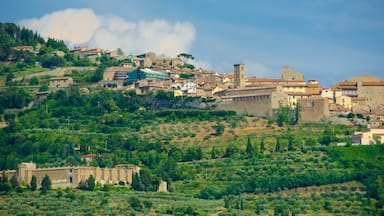 Cortona mostrando terreno coltivato e città