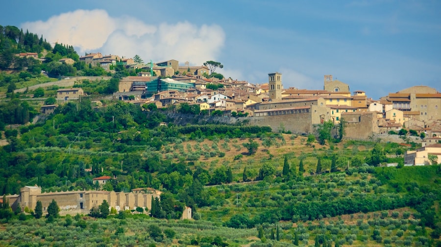 Cortona