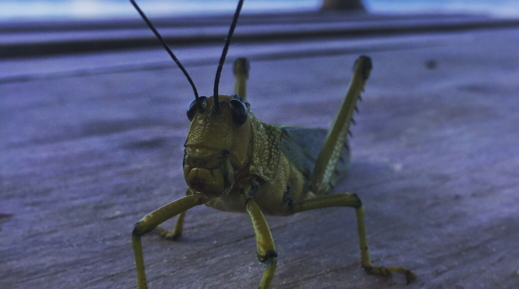 On the beach at the Omni.