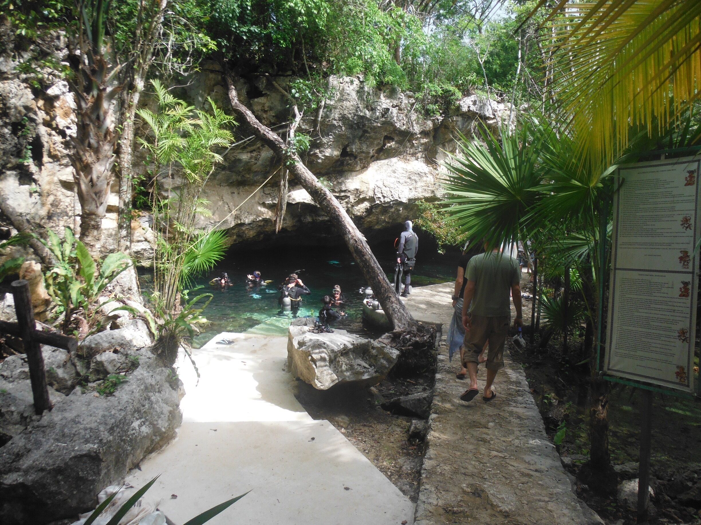 Scuba diving in gin clear water. Fantastic experience. Cenotes diving not to be missed 