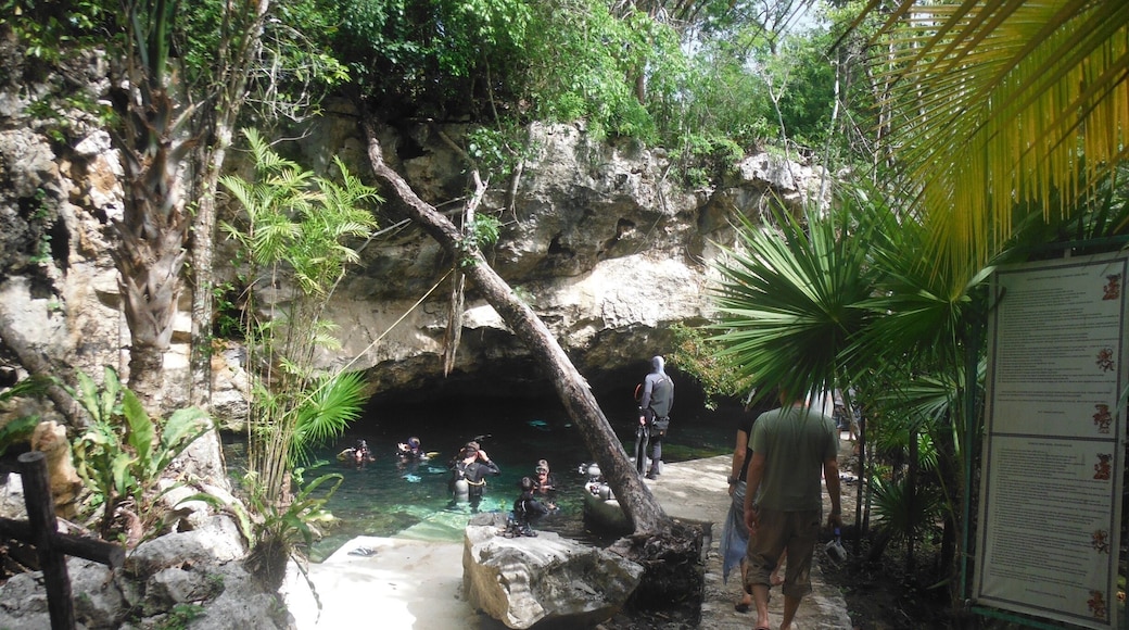 Scuba diving in gin clear water. Fantastic experience. Cenotes diving not to be missed